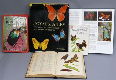 Encyclopedie Encyclopédie Des Insectes Gründ Joyaux Ailés Hachette