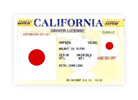 California Dmv Driver License Replacement Tanya Tanya