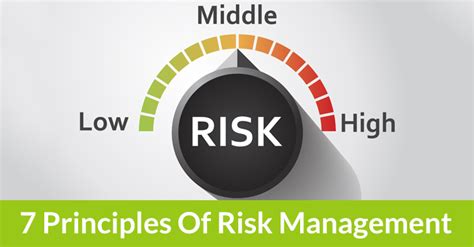 What Are The Principles Of Risk Management