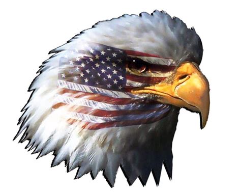 American Flag Eagle Head Decal Nostalgia Decals Die Cut Vinyl