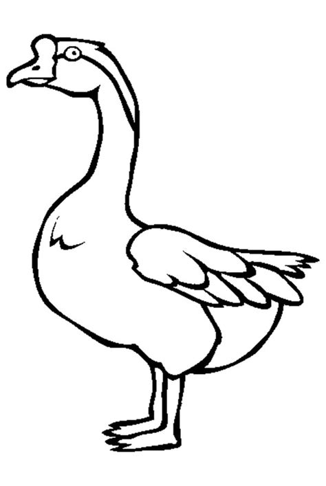 Coloring page illustration of funny farm goose. Awesome Picture of Goose Coloring Page - NetArt
