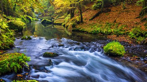 Beautiful Hd Wallpapers Beautiful Nature Forest River Wallpapers Hd