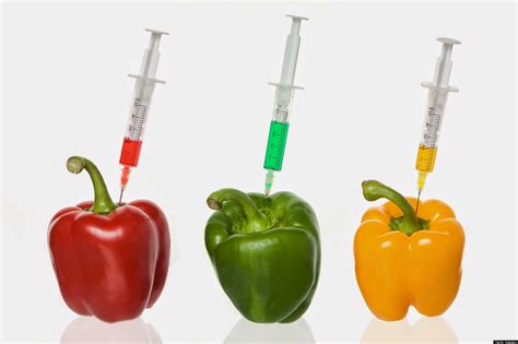 The result when a gene from one organism is purposely moved to improve or change another organism. TIPS TO IMPROVE HEALTHY LIFE: Genetically Modified Foods ...