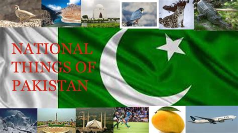 List Of National Things Of Pakistan Pakistan Info Youtube