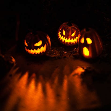 Spooky Jack O Lantern Faces Flickr Photo Sharing