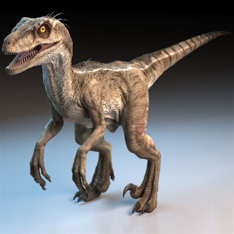 Raptor 3d Mundo Jurássico Dinossaurs Jurassic World
