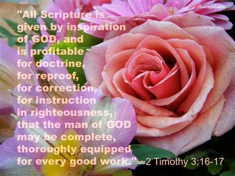 Kitchenette equipped for every good. Flowery Blessing: "'All Scripture is given by inspiration ...
