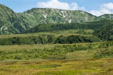 The Best Ever Guide To The Tateyama Kurobe Alpine Route The Bamboo