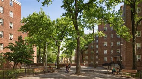 Leadership Council Seeks Nycha Youth Voice On Sustainability The