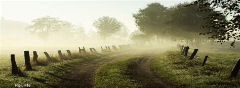 Foggy Road Facebook Covers Free Download
