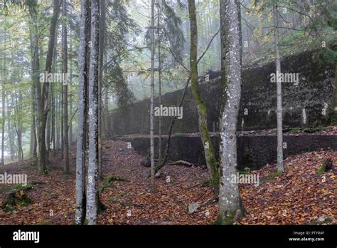 Le Berghof Résidence A été Laccueil Dadolf Hitler Dans Lobersalzberg