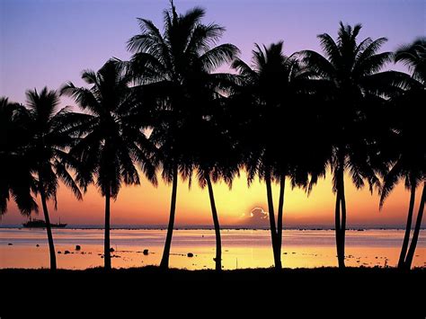 Hawaii sunset design looks great on all colors. Hawaii Sunset Wallpaper Free HD Backgrounds Images Pictures