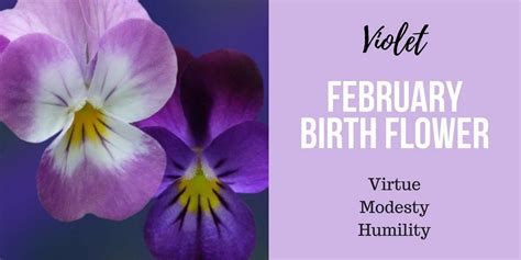 Discover Your Birth Flower Interflora