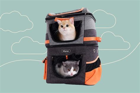 8 Best Cat Backpacks