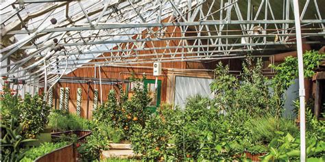 9 Things To Consider When Building Your Own Greenhouse Chelsea Green