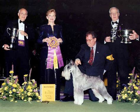 Westminster Kennel Club 20 Years Of Best In Show