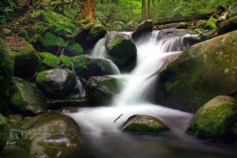Smoky Mountain Waterfalls Photograph By Cindy Haggerty