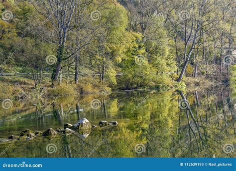 Sunny Autumn Day Along The River Stock Image Image Of Sunlight