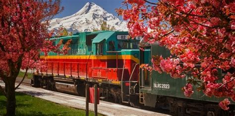 6 Scenic Train Rides In Oregon That Are Perfect For Nature Lovers