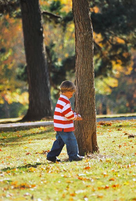 Day Hiking Trails Fun Activity For Kids On Hike Trail Tree Guide