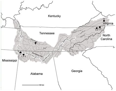 Late Pleistocene Fishes Of The Tennessee River Basin An