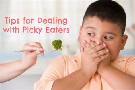 Tips For Dealing With Picky Eaters Momtrends