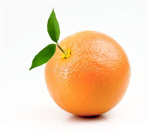 Fresh Orange Isolated On White Background Stock Image Image Of Cutout