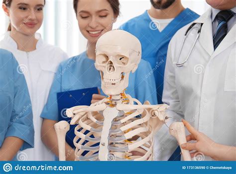 Professional Orthopedist With Human Skeleton Model Teaching Medical