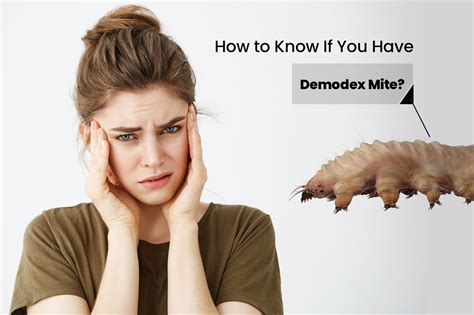 How To Know If You Have Demodex Mites Ungex