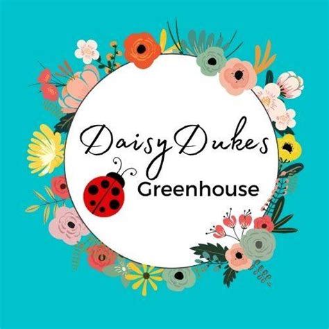 Daisy Dukes Greenhouse
