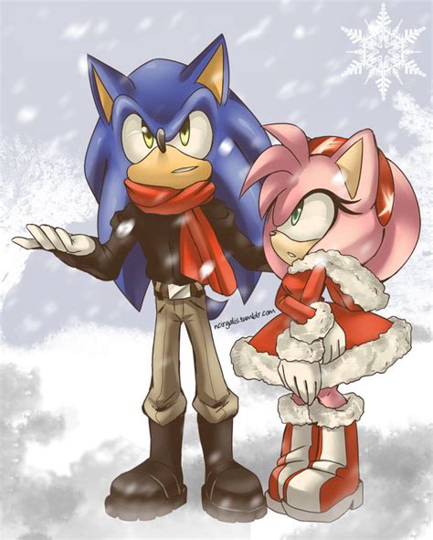 359 Best Sonamy Images On Pinterest Sonic And Amy Amy Rose And Hedgehog