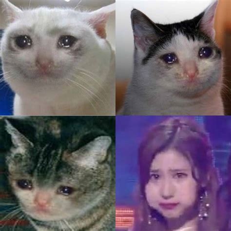 Crying Meme