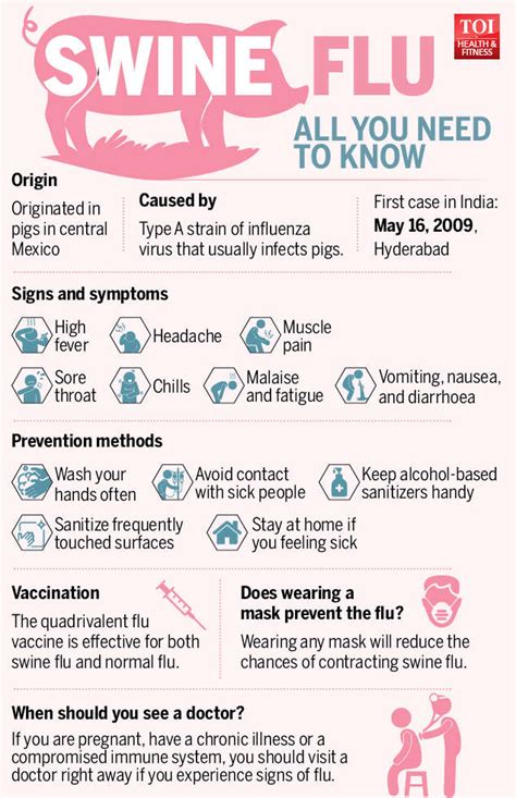 swine flu all you need to know about the h1n1 influenza times of india