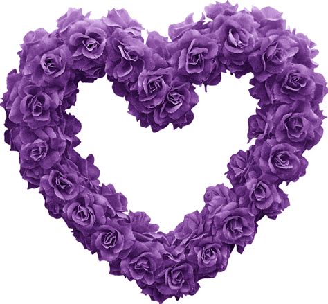 FLORES | Purple roses, Purple flowers, Purple love