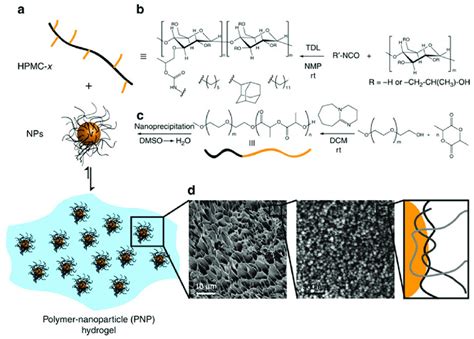 Schematic Representation Of The Preparation Of Polymer Nanoparticle