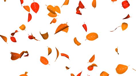Falling Leaves  Transparent