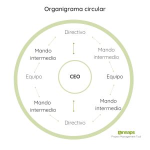 Organigrama Circular C Mo Funciona Con Un Ejemplo Real Sinnaps