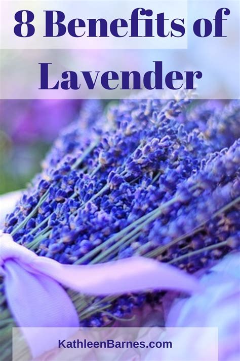 Lavender 8 Benefits Of This Amazing Herb KathleenBarnes Com