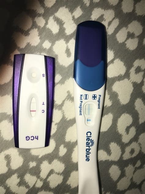 Pregnancy Test 4 Days Late What Do You See All My Tests Were Neg