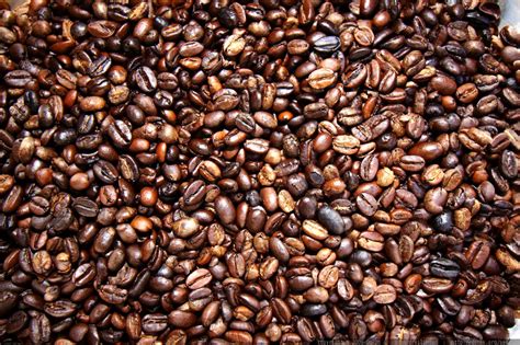 Depending on the region, they are medium to high in acidity, light to medium in body, and varied in their flavor notes. photo: fresh roasted ethiopian moreno coffee beans MG 6448 ...