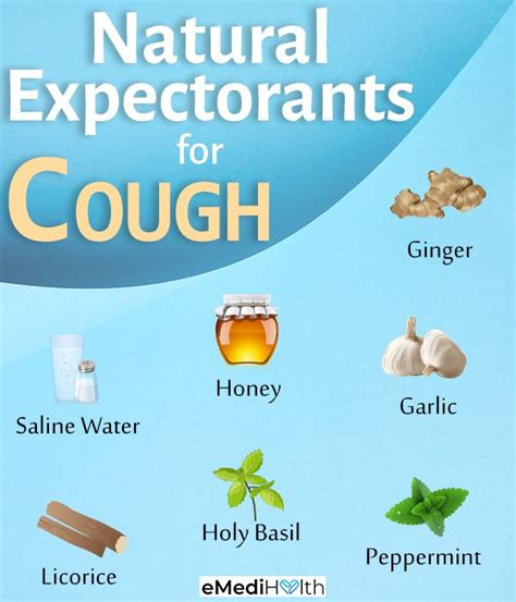 7 Natural Expectorants To Relieve A Cough Emedihealth Natural