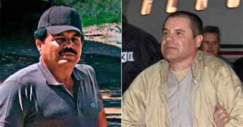 Con El Chapo O Sin él El Cártel De Sinaloa Es Negocio Rentable Y