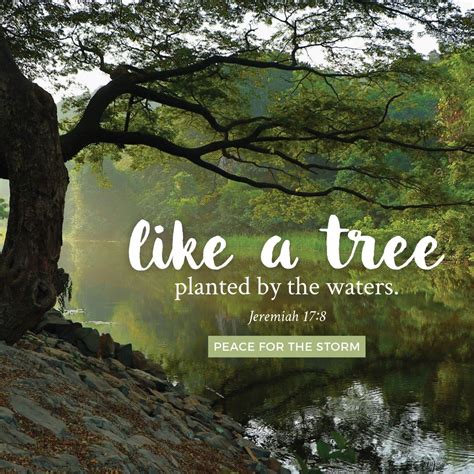 Bible Verses About Trees Planted By The Water Vena Neuman