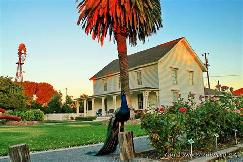 15 Best Things To Do In Brentwood Ca The Crazy Tourist