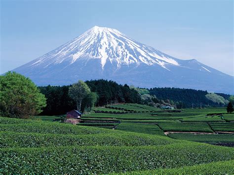 Mount Fuji Facts Location Eruptions