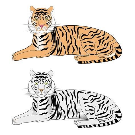 Bengal Tiger And White Tiger Cartoon Realistic Drawing Style Png And