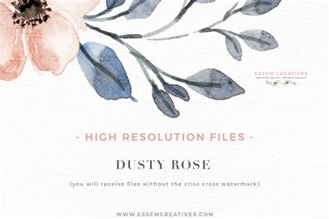 Dusty Rose Watercolor Flower Clipart | Rose watercolor, Watercolor flowers, Floral wreath watercolor