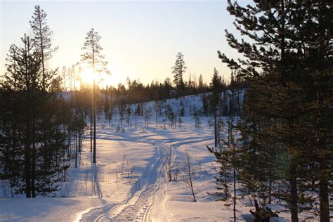 New year's Eve Holidays in Lapland - Ecolodge in Swedish Lapland