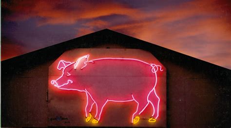 Pin By Cheryl Kuhl Schadt On Pigs Is Pigs Neon Sign Art Neon Art