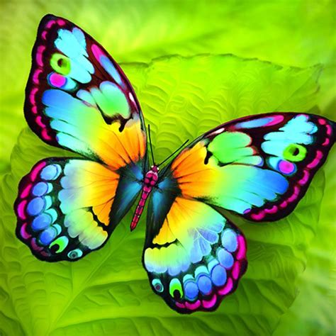 Image Result For Color To Paint A Butterfly Easy Flower Painting